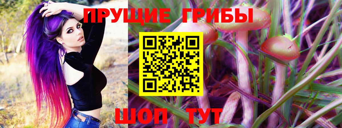 Амурск  Галлюциногенные грибы GOLDEN TEACHER  наркотики  Вход с VPN  Псилоцибиновые грибы Psilocybe 
