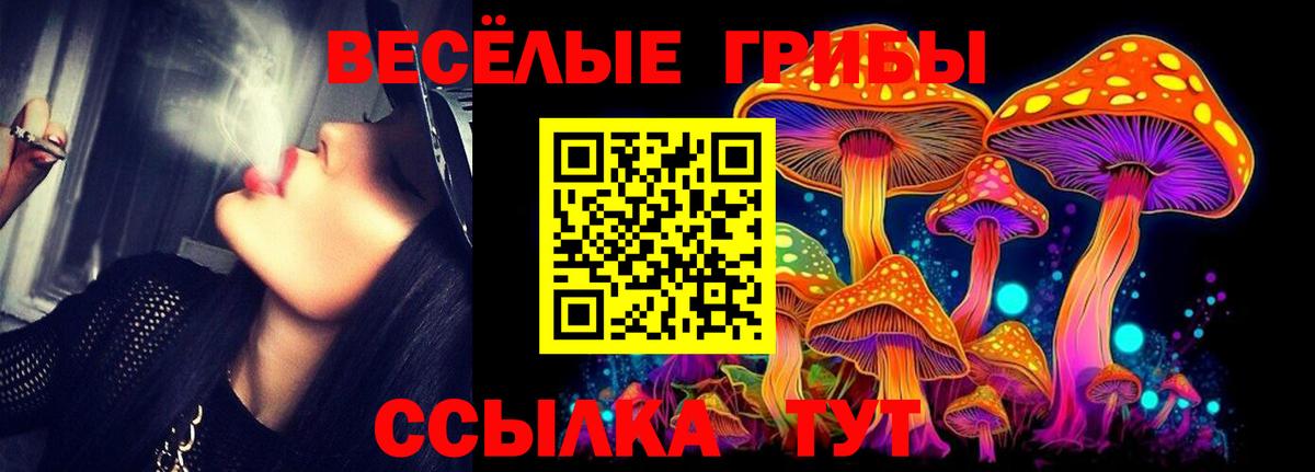 Галлюциногенные грибы MAGIC MUSHROOMS Амурск